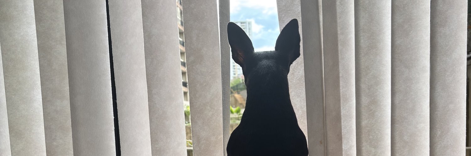 HernandezPao_'s profile banner image
