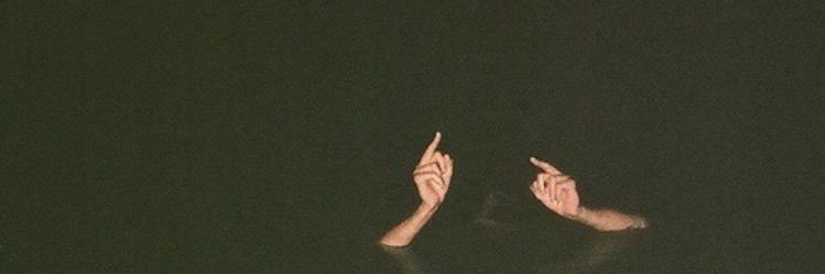 netinho banner