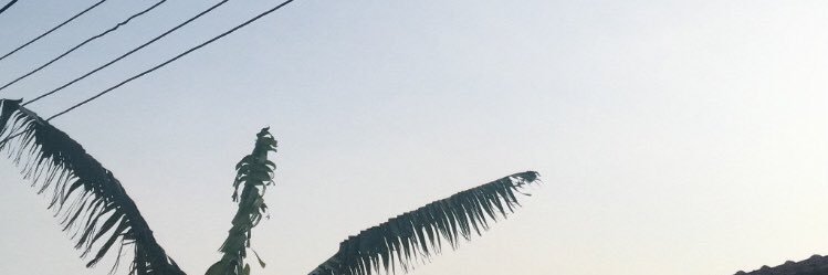 veeism's profile banner image