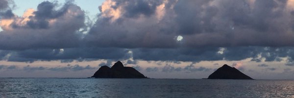 erin_fukuda Profile Banner