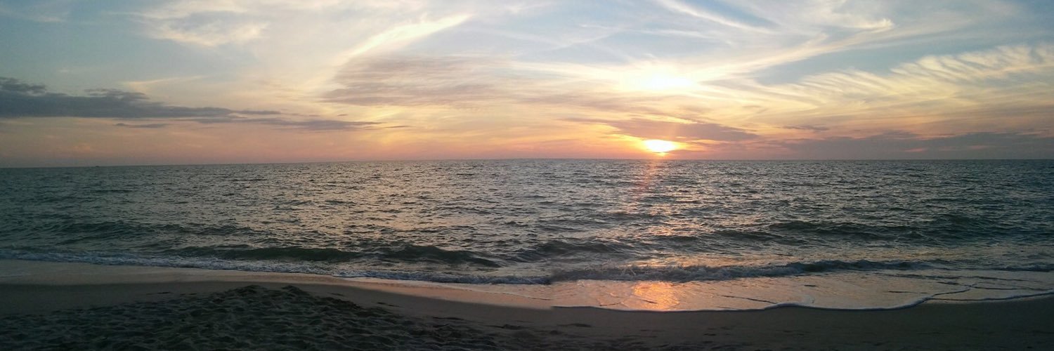 rachelamixie's profile banner image