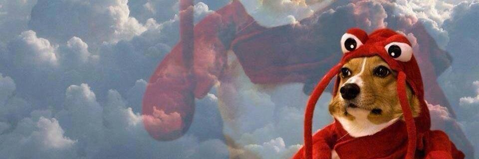 Marthiiux's profile banner image
