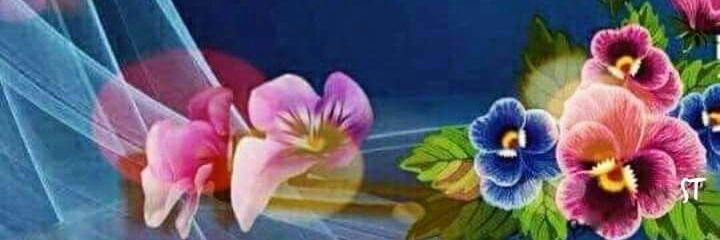 Carito_val2's profile banner image