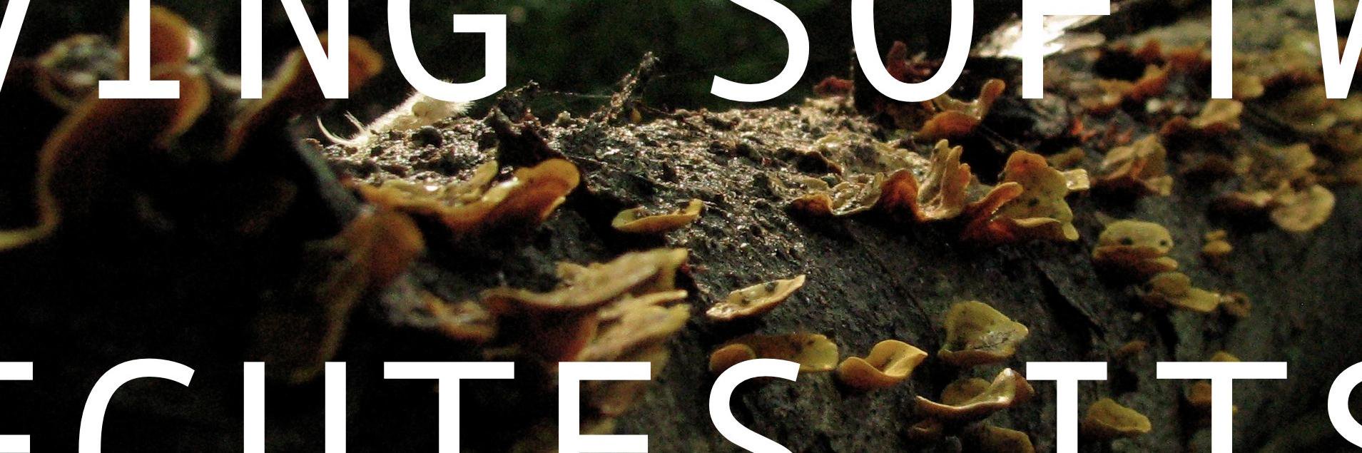 _biodiversa's profile banner image