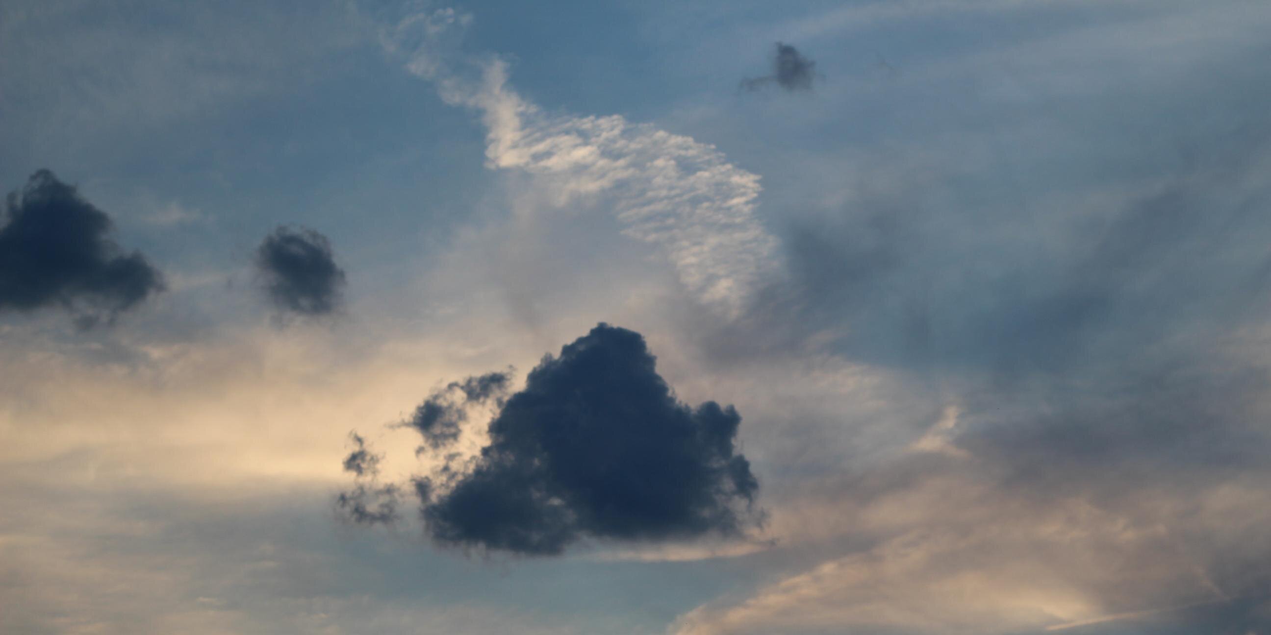 blntprobe's profile banner image