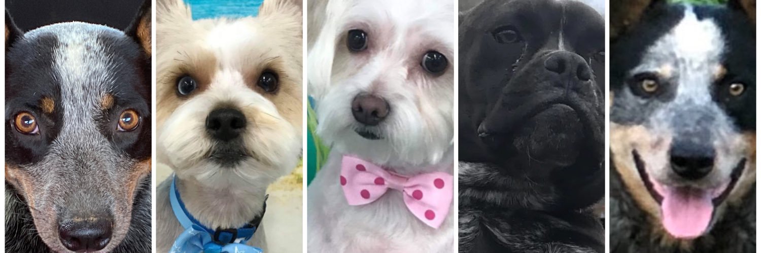 pricelyss23's profile banner image
