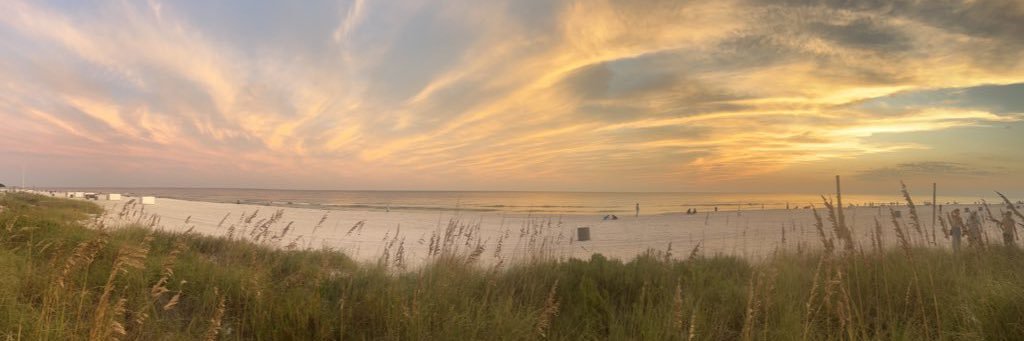 Trevor Scott ✘ banner