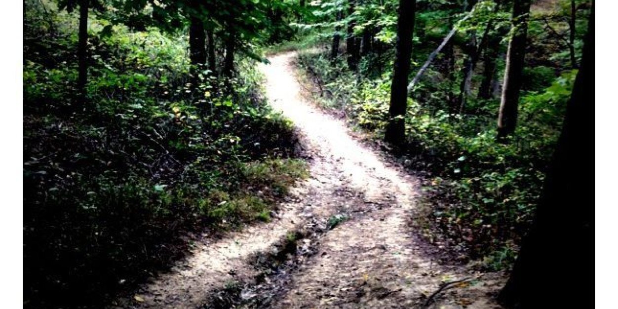 Kim__Anderson's profile banner image