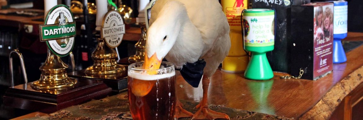 jordan daniel logan banner