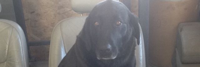 11KateS's profile banner image