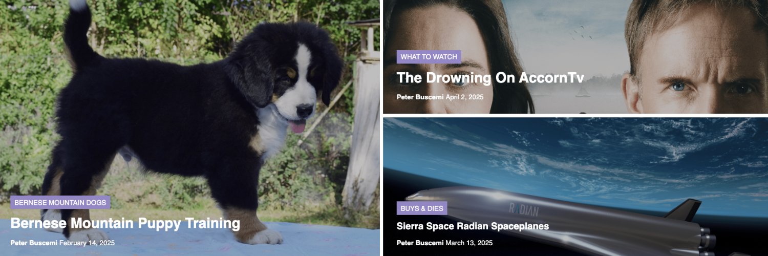 Peter Buscemi banner