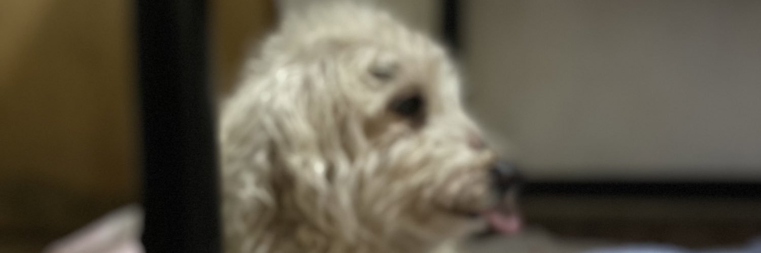 cold_eyes's profile banner image