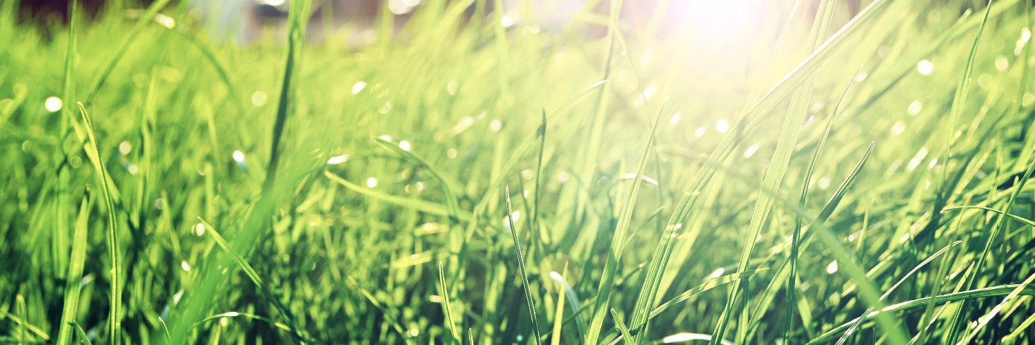 WeSeedAmerica's profile banner image