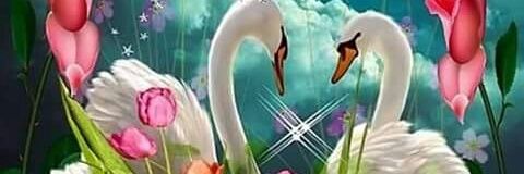 MintySaroop's profile banner image