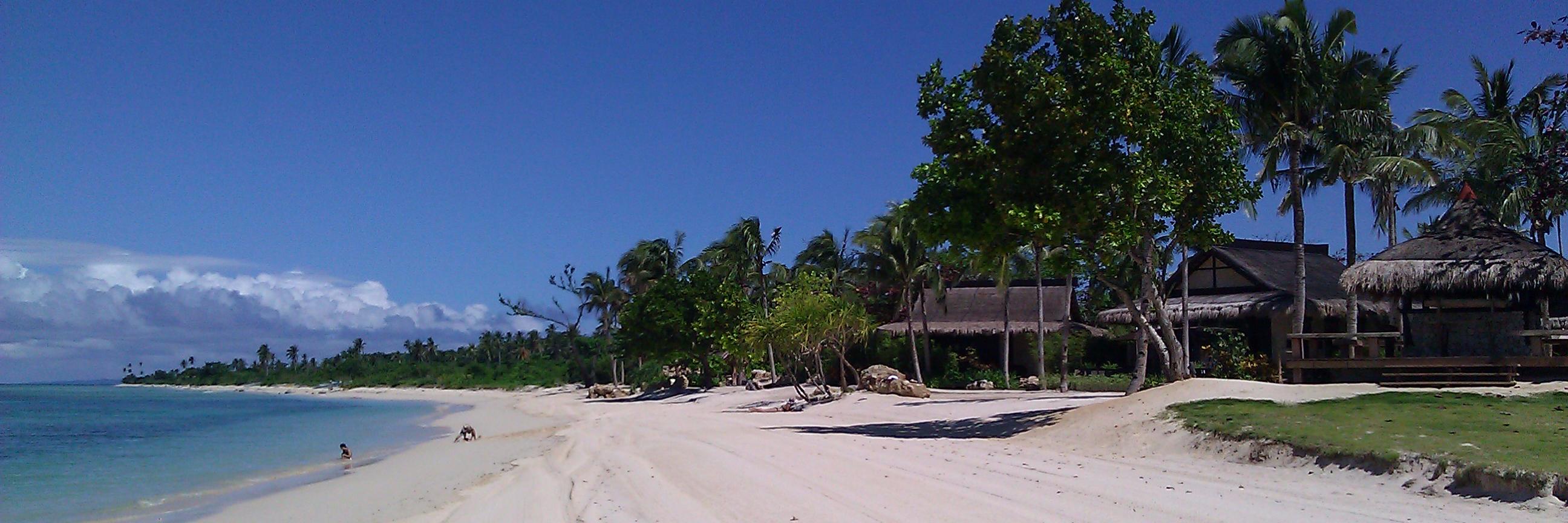 Rosalind Tordesillas banner