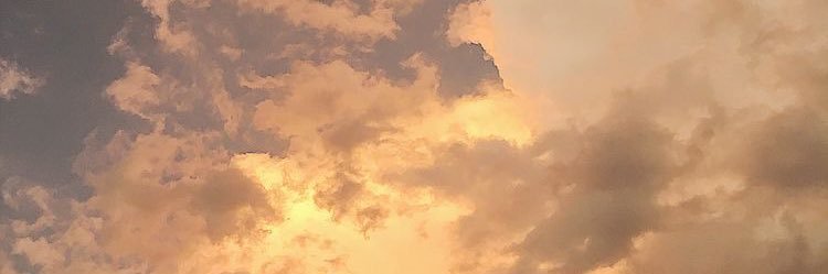 Daphnepalao's profile banner image