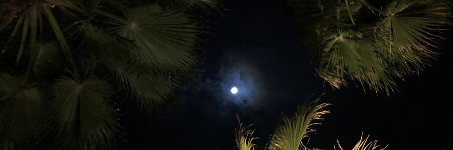 8ennf's profile banner image