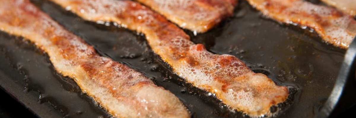 mehbacon's profile banner image