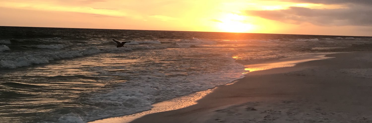 MausserRachel's profile banner image