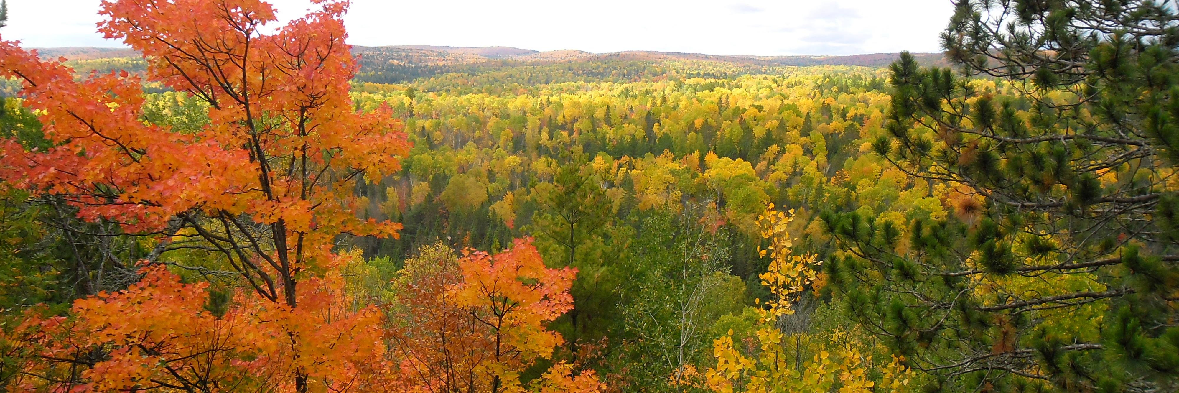 Muskoka Grandview banner