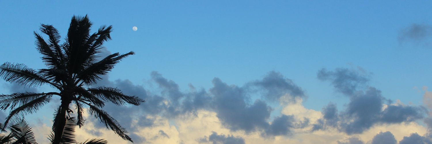 Sebas_bv_'s profile banner image