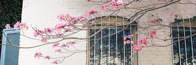 SarahDarbor's profile banner image