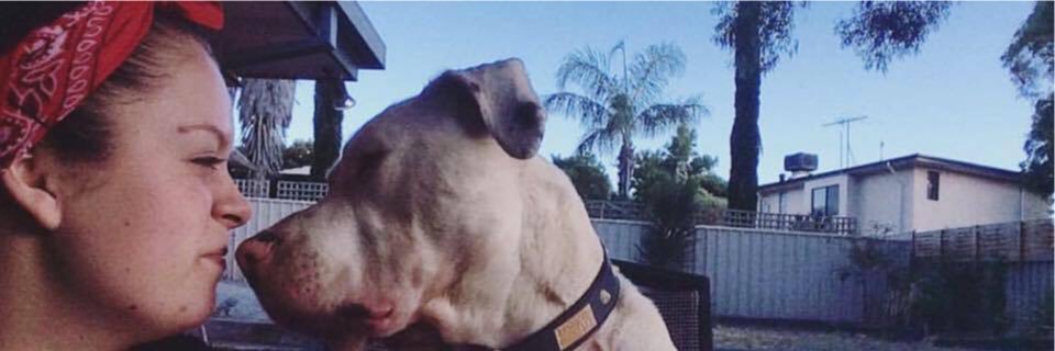 abbiegeorgiaaa's profile banner image