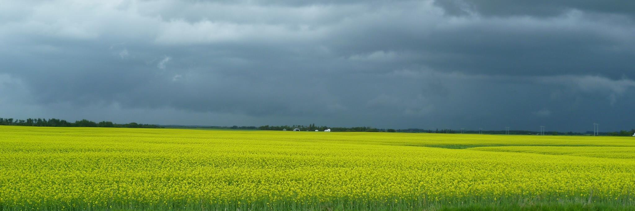 greenfieldglen's profile banner image