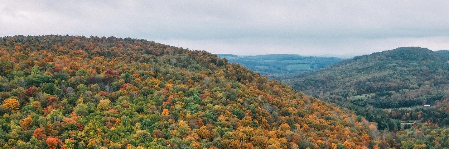 tdolbs's profile banner image