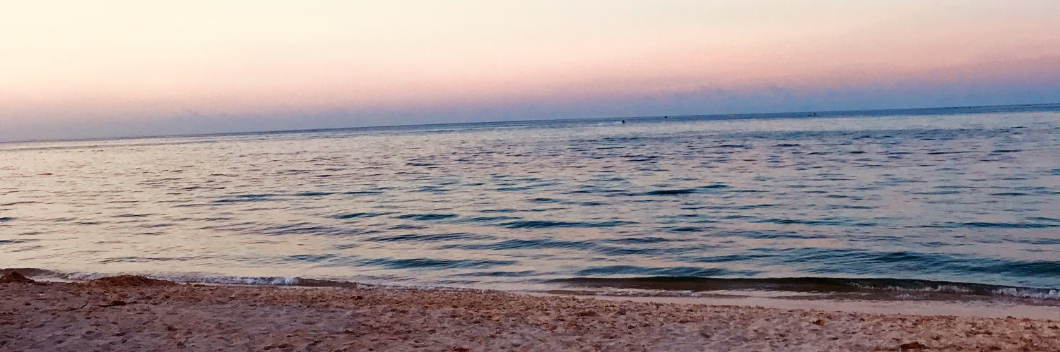 yylopezd's profile banner image