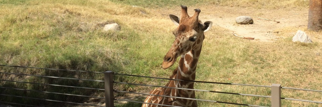 Sherry Barkas banner