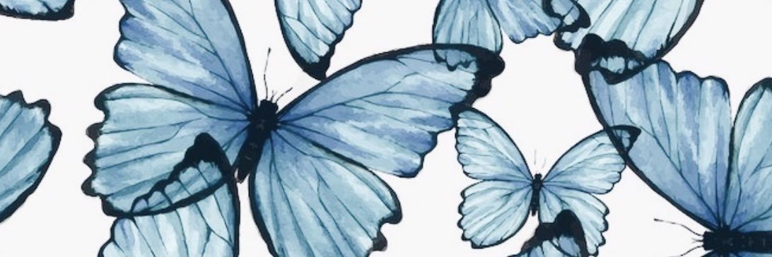 kelseylemos's profile banner image