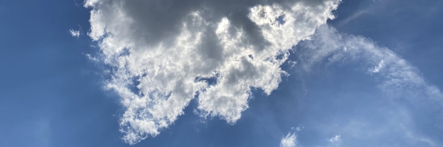 cotan_91's profile banner image