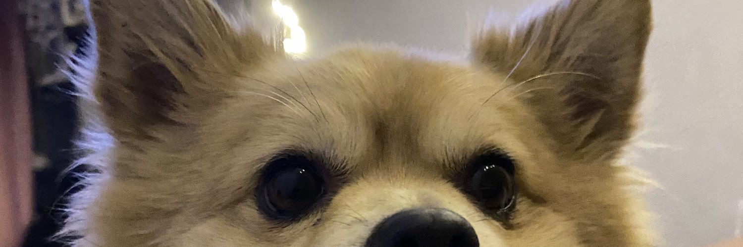 MaryJimenezFlor's profile banner image