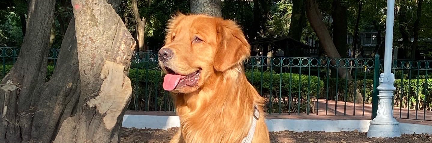 serch_jim's profile banner image
