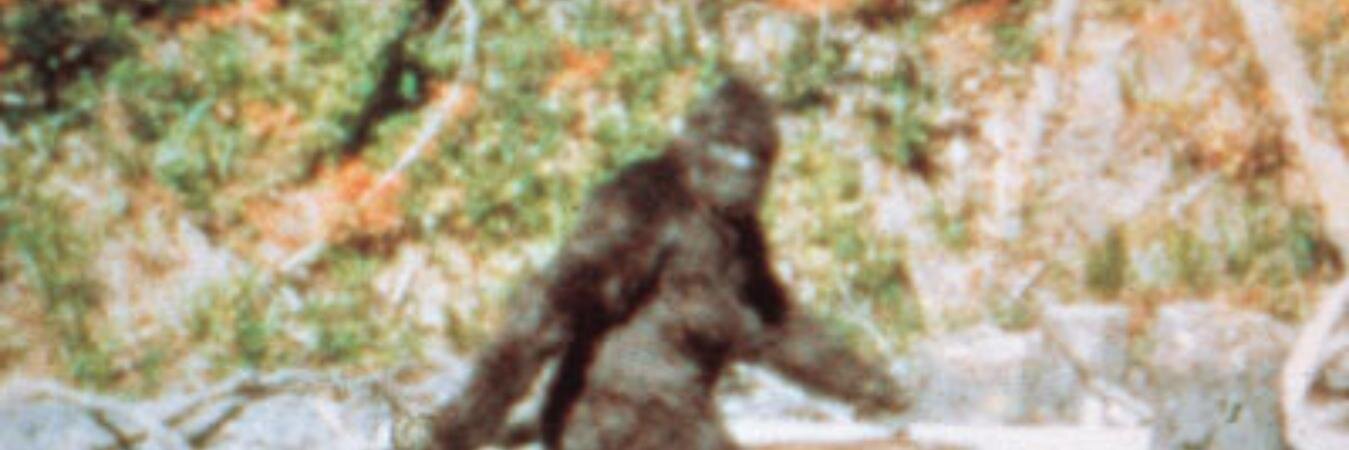 IanSasquatch's profile banner image