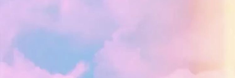 aneleyschaad's profile banner image