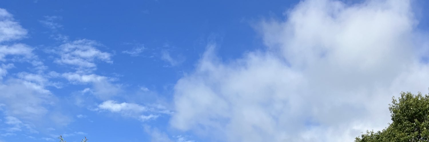 meguchamama's profile banner image