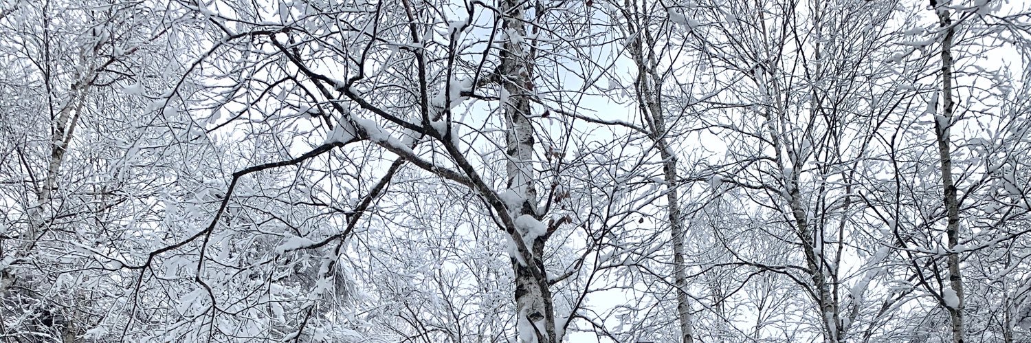 coji morishita banner