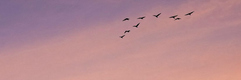 MaaariaDaniela's profile banner image