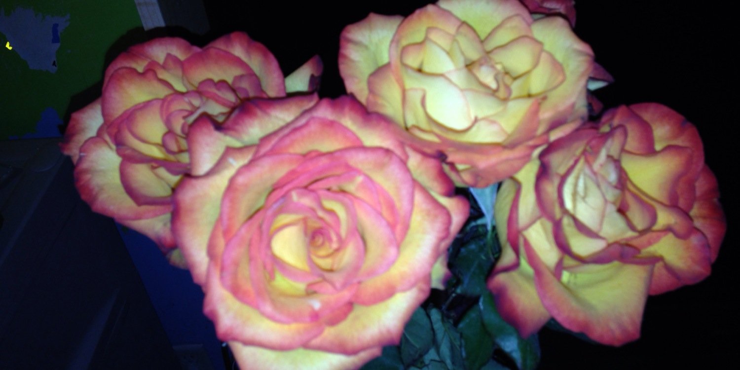Bree2432's profile banner image