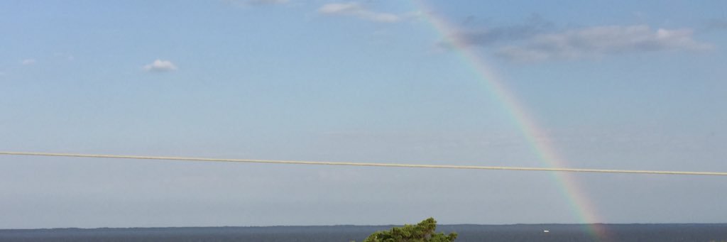 obssurf's profile banner image
