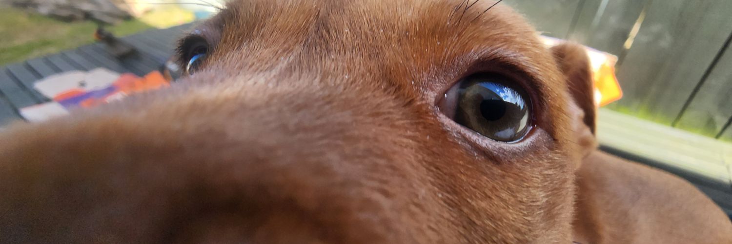 Pud_NZ's profile banner image