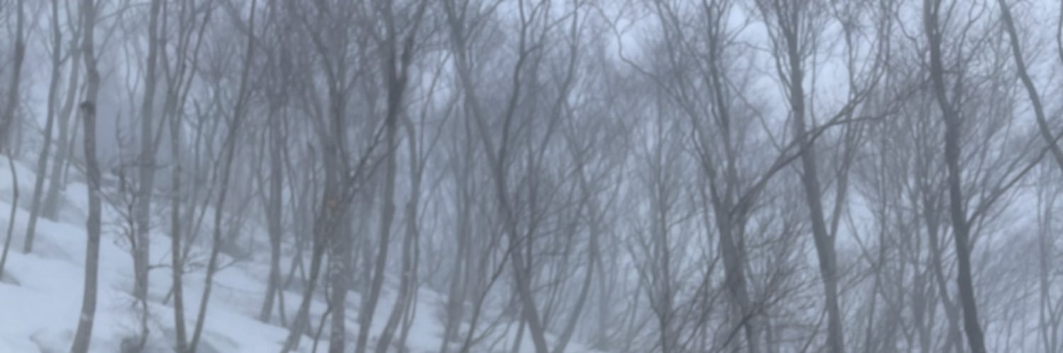 shaaairaaa's profile banner image