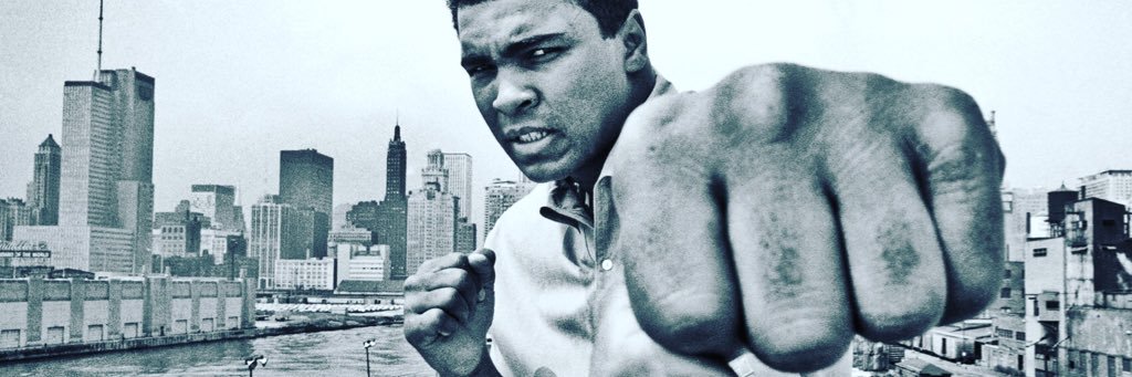 FMartinez12's profile banner image