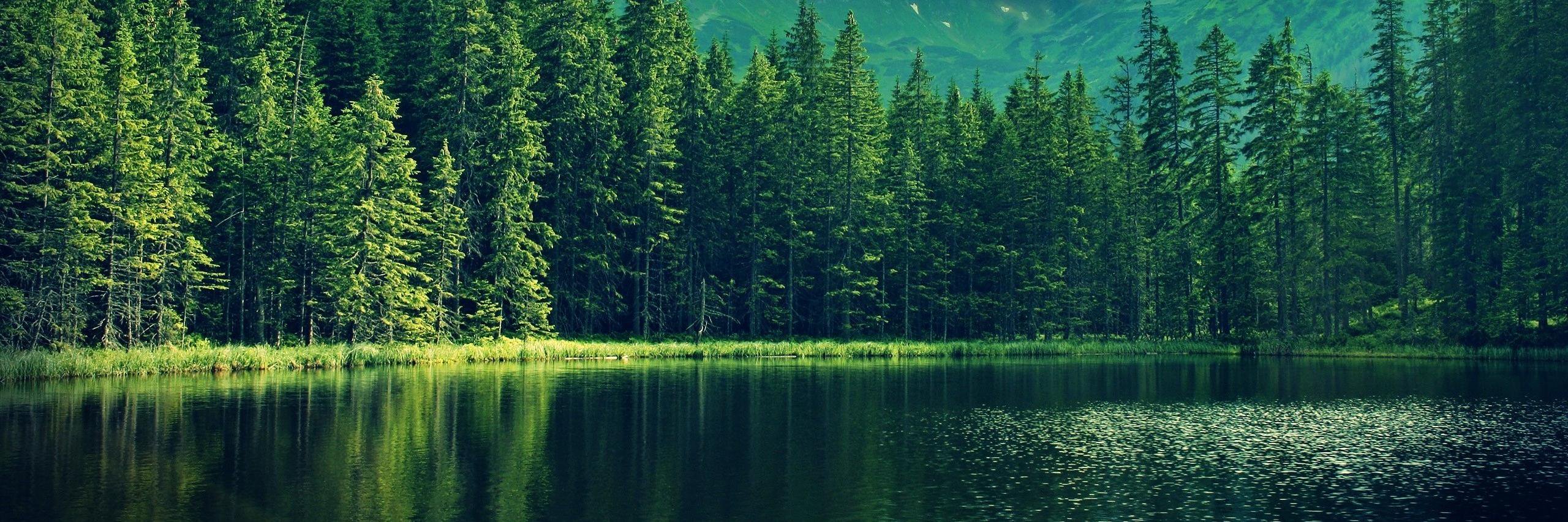 Michelle_TLG's profile banner image