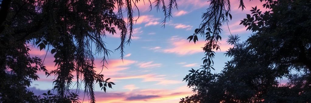 __sundaze's profile banner image