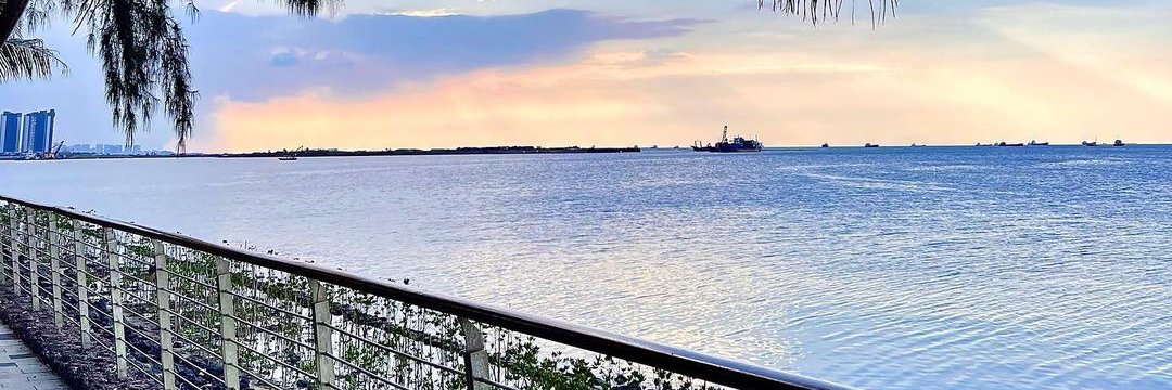 ____ayako_11's profile banner image