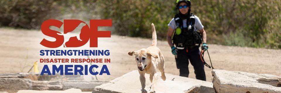 SearchDogFoundation banner