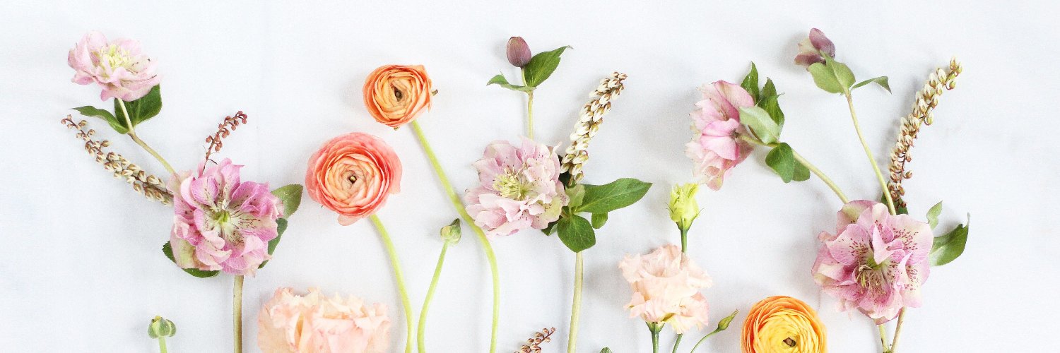 hannahptong's profile banner image